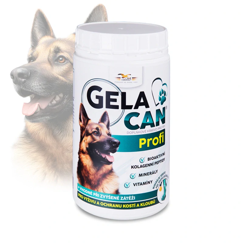 ORLING Gelacan Profi 500g
