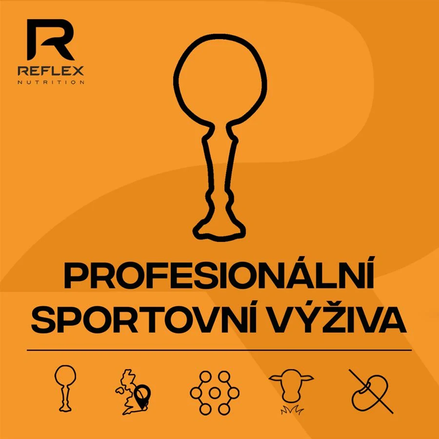 Reflex Nutrition Vitamin D3 100 kapslí