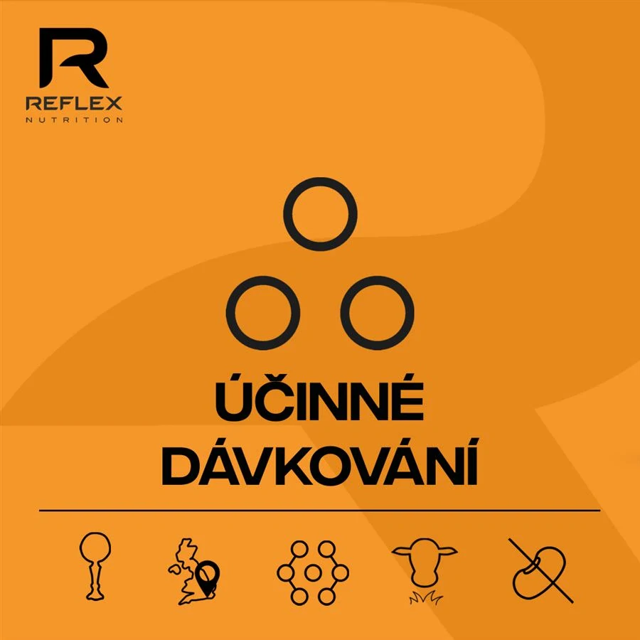 Reflex Nutrition Vitamin D3 100 kapslí